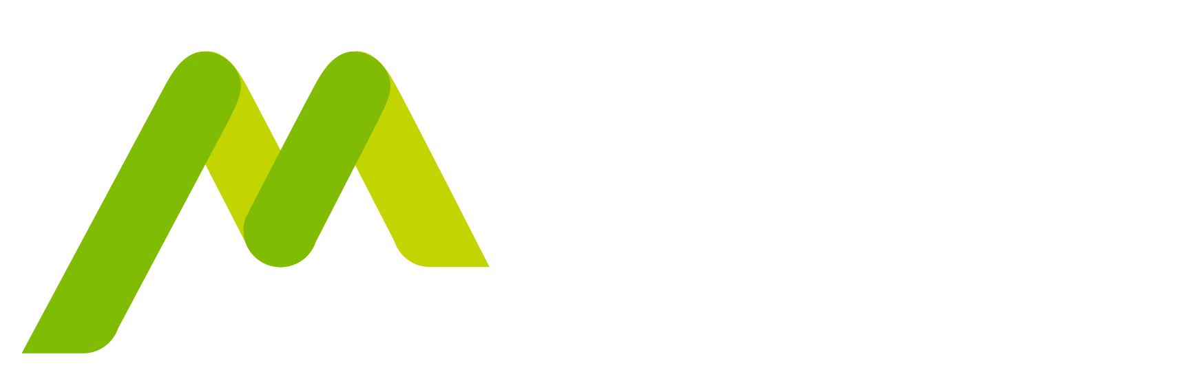Grupo Mercurio B2B